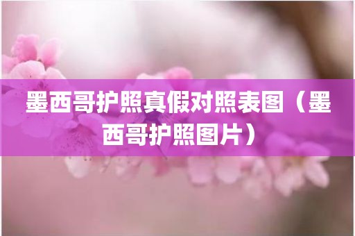 墨西哥护照真假对照表图（墨西哥护照图片）