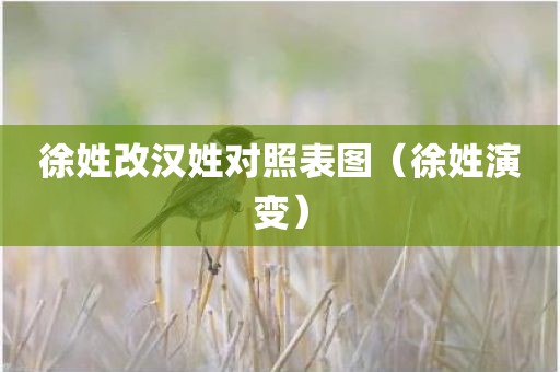 徐姓改汉姓对照表图（徐姓演变）