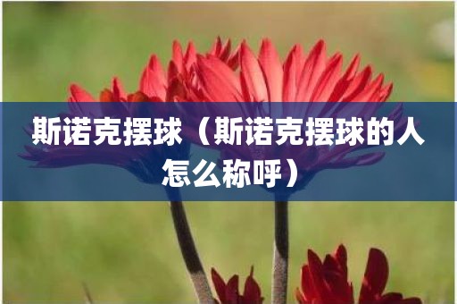 斯诺克摆球（斯诺克摆球的人怎么称呼）