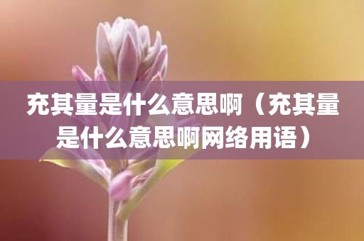 充其量是什么意思啊（充其量是什么意思啊网络用语）