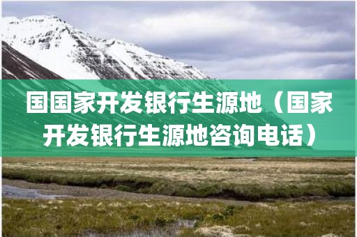 国国家开发银行生源地（国家开发银行生源地咨询电话）
