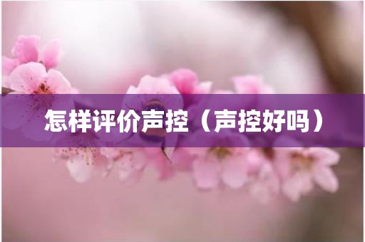 怎样评价声控（声控好吗）
