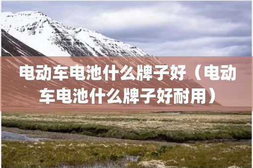 电动车电池什么牌子好（电动车电池什么牌子好耐用）