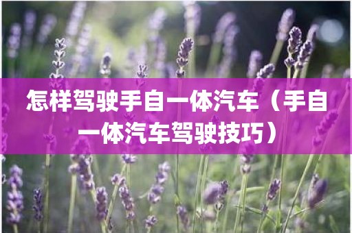 怎样驾驶手自一体汽车（手自一体汽车驾驶技巧）