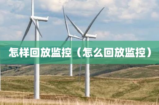 怎样回放监控（怎么回放监控）
