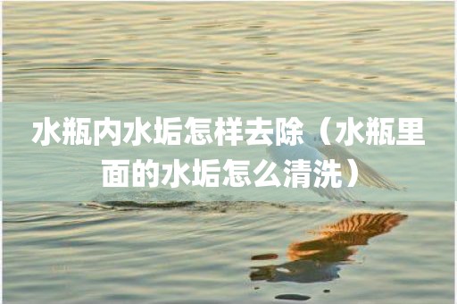 水瓶内水垢怎样去除（水瓶里面的水垢怎么清洗）