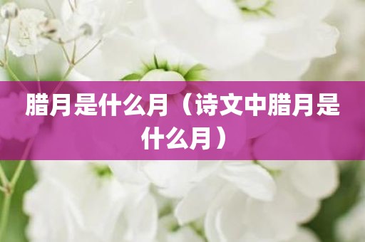 腊月是什么月（诗文中腊月是什么月）