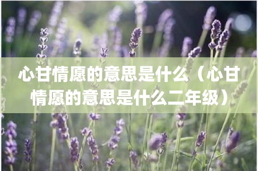 心甘情愿的意思是什么（心甘情愿的意思是什么二年级）