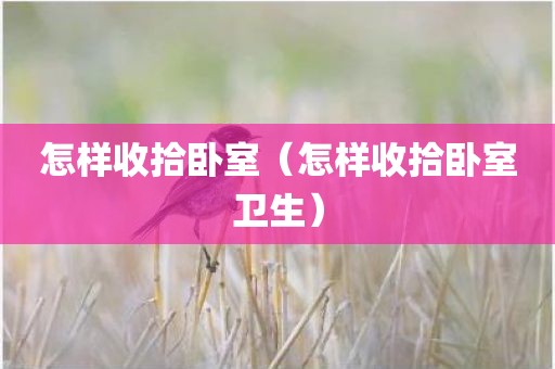 怎样收拾卧室（怎样收拾卧室卫生）