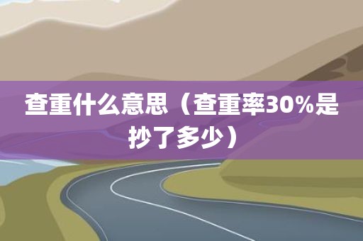 查重什么意思（查重率30%是抄了多少）