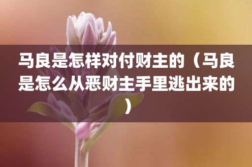 马良是怎样对付财主的（马良是怎么从恶财主手里逃出来的）