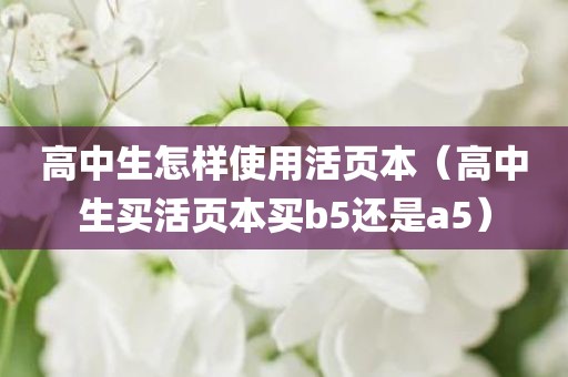 高中生怎样使用活页本（高中生买活页本买b5还是a5）