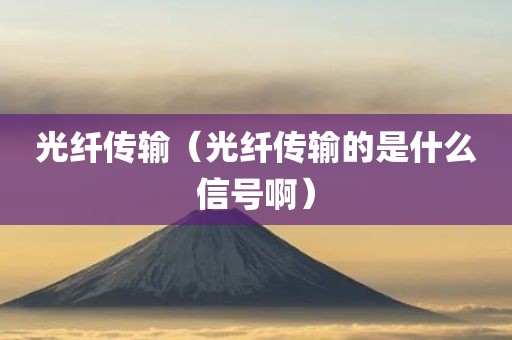 光纤传输（光纤传输的是什么信号啊）