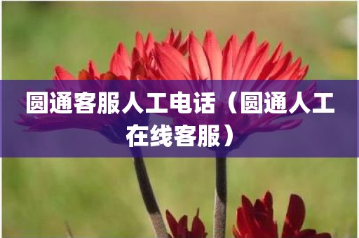 圆通客服人工电话（圆通人工在线客服）