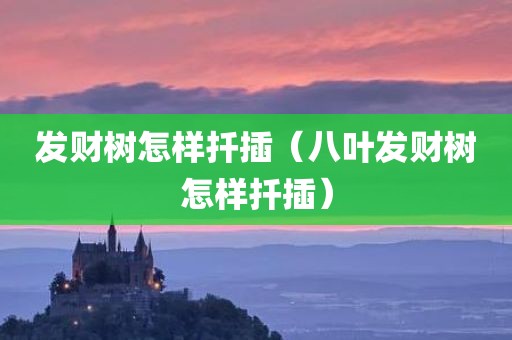 发财树怎样扦插（八叶发财树怎样扦插）