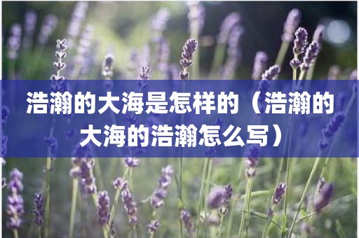 浩瀚的大海是怎样的（浩瀚的大海的浩瀚怎么写）