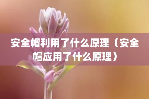 安全帽利用了什么原理（安全帽应用了什么原理）