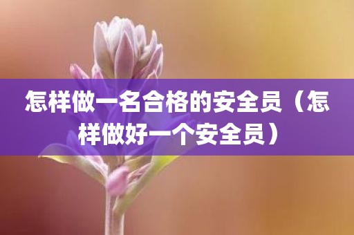 怎样做一名合格的安全员（怎样做好一个安全员）