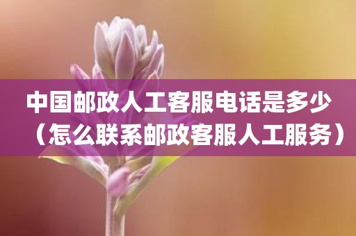 中国邮政人工客服电话是多少(怎么联系邮政客服人工服务)