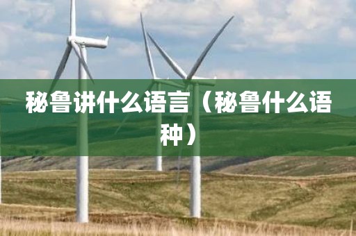 秘鲁讲什么语言（秘鲁什么语种）
