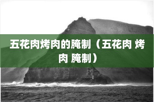 五花肉烤肉的腌制（五花肉 烤肉 腌制）