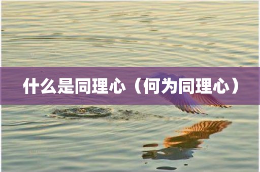 什么是同理心（何为同理心）