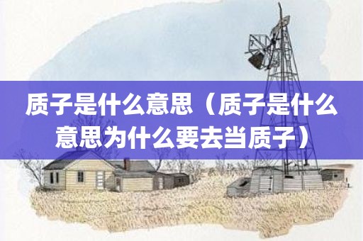 质子是什么意思（质子是什么意思为什么要去当质子）