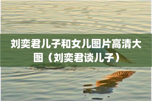 刘奕君儿子和女儿图片高清大图（刘奕君谈儿子）