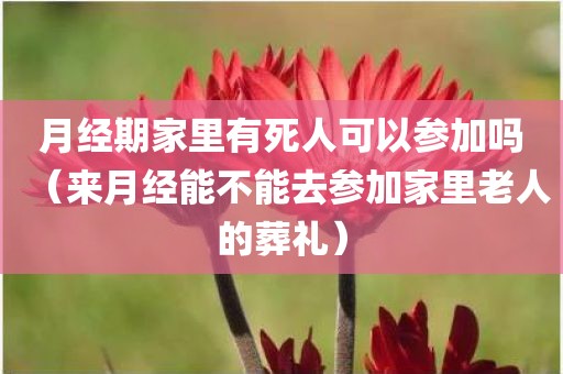 月经期家里有死人可以参加吗（来月经能不能去参加家里老人的葬礼）