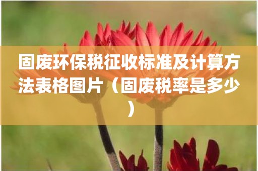 固废环保税征收标准及计算方法表格图片（固废税率是多少）