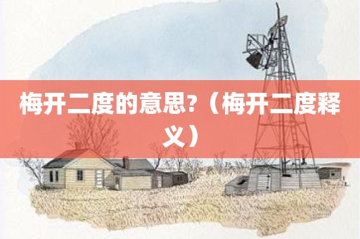 梅开二度的意思?（梅开二度释义）