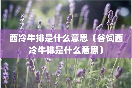 西冷牛排是什么意思（谷饲西冷牛排是什么意思）