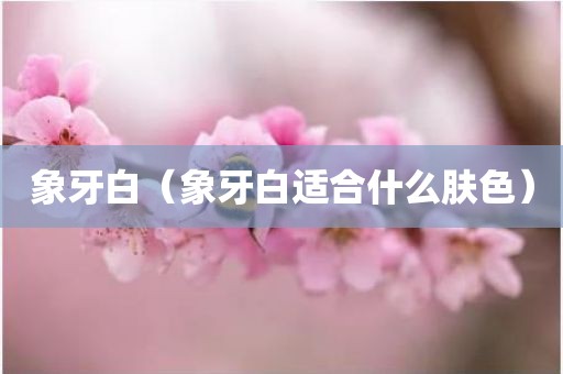 象牙白(象牙白适合什么肤色) 象牙白(象牙白适合什么肤色)