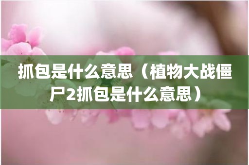 抓包是什么意思（植物大战僵尸2抓包是什么意思）