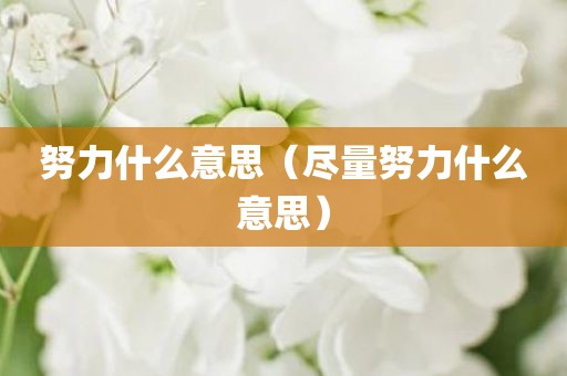 努力什么意思(尽量努力什么意思)