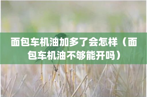 面包车机油加多了会怎样（面包车机油不够能开吗）