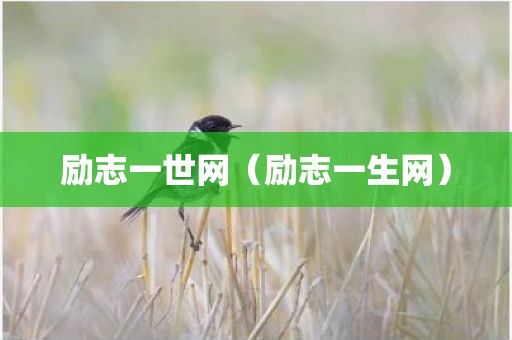 励志一世网（励志一生网）