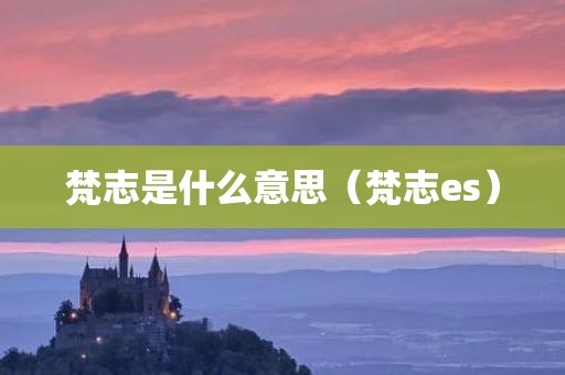 梵志是什么意思（梵志es）