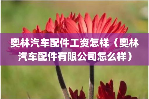 奥林汽车配件工资怎样（奥林汽车配件有限公司怎么样）