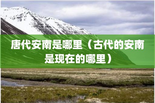 唐代安南是哪里（古代的安南是现在的哪里）