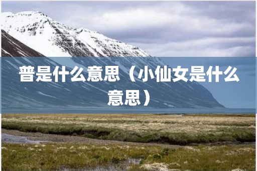 普是什么意思（小仙女是什么意思）