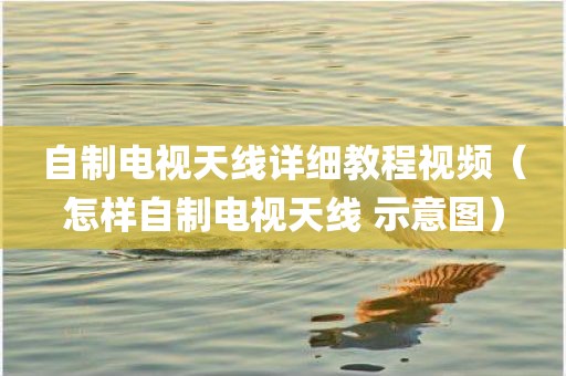 自制电视天线详细教程视频（怎样自制电视天线 示意图）