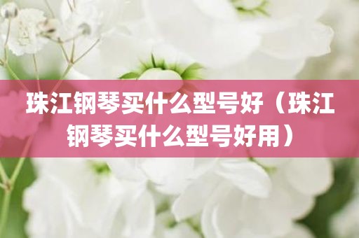 珠江钢琴买什么型号好（珠江钢琴买什么型号好用）