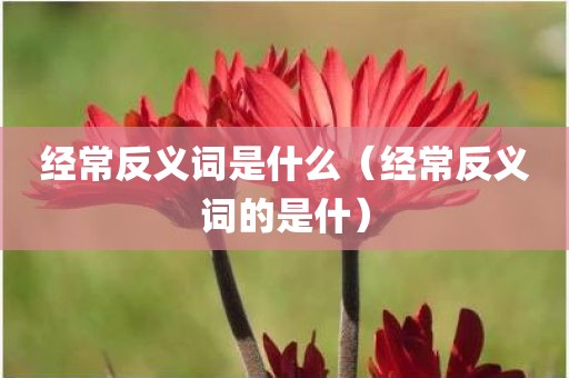 经常反义词是什么（经常反义词的是什）