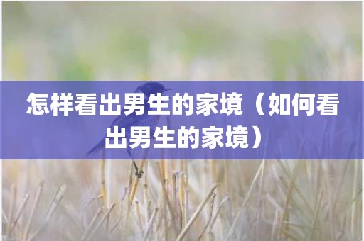 怎样看出男生的家境（如何看出男生的家境）