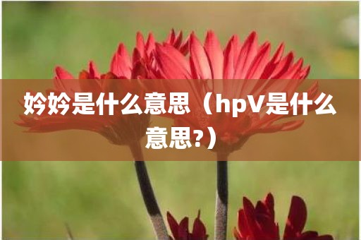 妗妗是什么意思（hp∨是什么意思?）