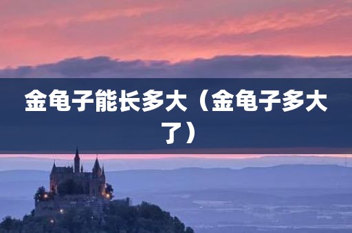 金龟子能长多大（金龟子多大了）