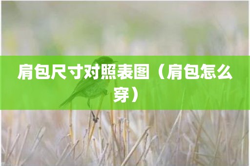 肩包尺寸对照表图（肩包怎么穿）