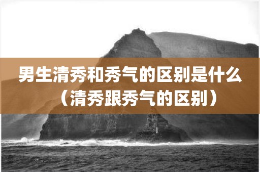 男生清秀和秀气的区别是什么（清秀跟秀气的区别）