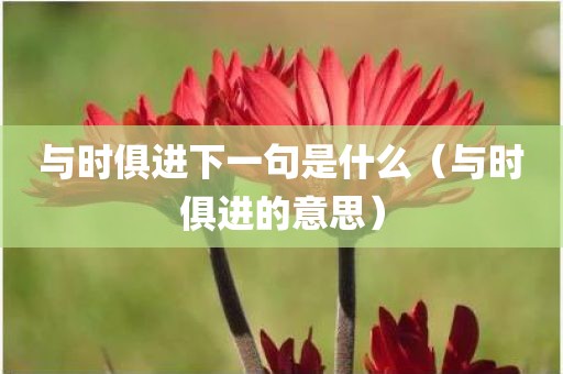 与时俱进下一句是什么（与时俱进的意思）